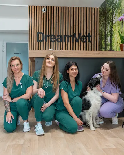 DreamVet Przychodnia Weterynaryjna